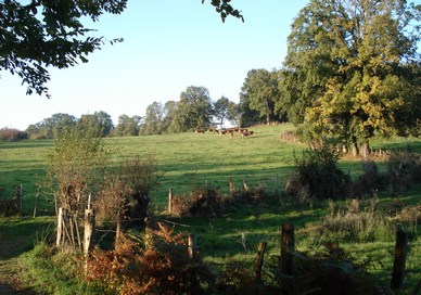 het landschap rond Bellefond