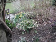 DSCN3942