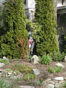 DSCN3976