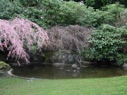 DSCN3993