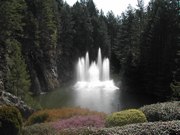DSCN3998