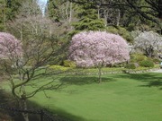 DSCN4002