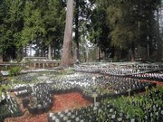DSCN4022